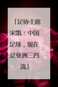 足协主席宋凯：中国足球，现在是亚洲三四流