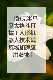 跑完半马又去格斗打擂！人形机器人技术试炼场加速应用落地