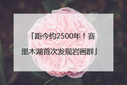 距今约2500年！赛里木湖首次发现岩画群