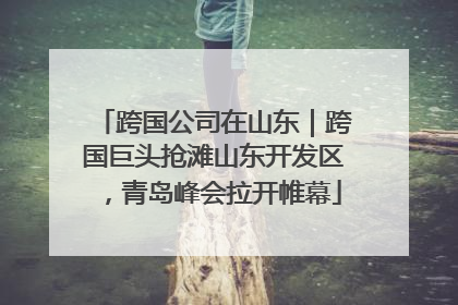 跨国公司在山东｜跨国巨头抢滩山东开发区，青岛峰会拉开帷幕