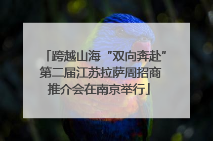 跨越山海“双向奔赴” 第二届江苏拉萨周招商推介会在南京举行