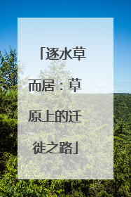 逐水草而居：草原上的迁徙之路