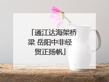 通江达海架桥梁 岳阳中非经贸正扬帆