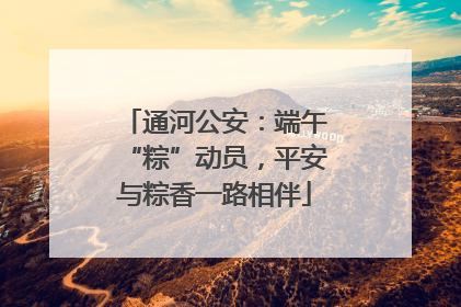 通河公安：端午“粽”动员，平安与粽香一路相伴