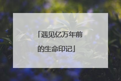 遇见亿万年前的生命印记