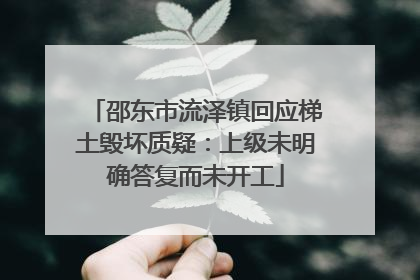 邵东市流泽镇回应梯土毁坏质疑：上级未明确答复而未开工