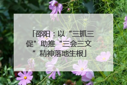 邵阳：以“三抓三促”助推“三会三文”精神落地生根