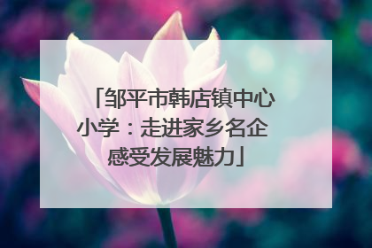 邹平市韩店镇中心小学：走进家乡名企 感受发展魅力
