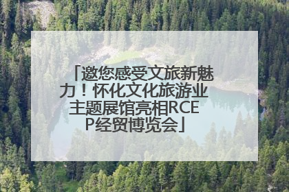 邀您感受文旅新魅力！怀化文化旅游业主题展馆亮相RCEP经贸博览会