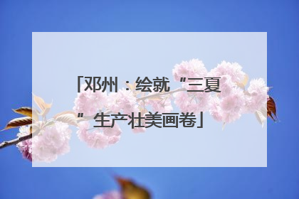 邓州：绘就“三夏”生产壮美画卷