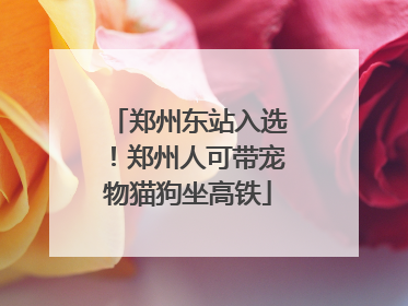 郑州东站入选！郑州人可带宠物猫狗坐高铁