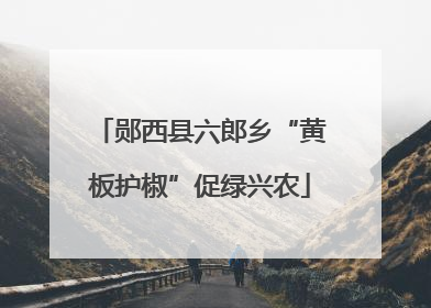 郧西县六郎乡“黄板护椒”促绿兴农