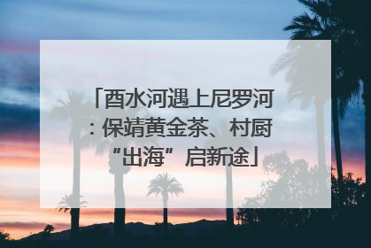 酉水河遇上尼罗河：保靖黄金茶、村厨“出海”启新途