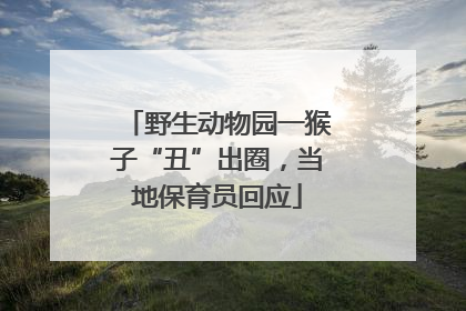 野生动物园一猴子“丑”出圈，当地保育员回应