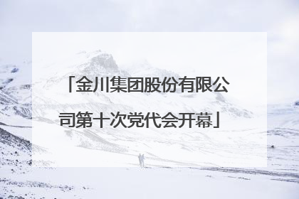 金川集团股份有限公司第十次党代会开幕