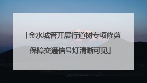 金水城管开展行道树专项修剪 保障交通信号灯清晰可见
