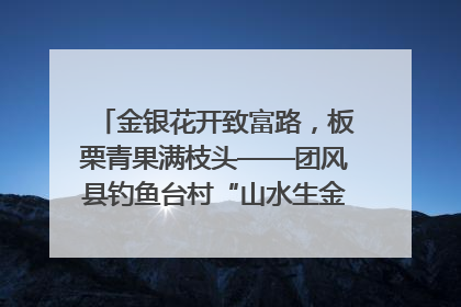 金银花开致富路，板栗青果满枝头——团风县钓鱼台村“山水生金”谱写共富新篇章