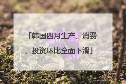 韩国四月生产、消费、投资环比全面下滑