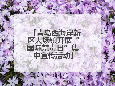 青岛西海岸新区大场镇开展“国际禁毒日”集中宣传活动