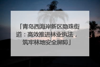 青岛西海岸新区隐珠街道：高效推进林业执法，筑牢林地安全屏障
