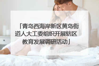 青岛西海岸新区黄岛街道人大工委组织开展辖区教育发展调研活动