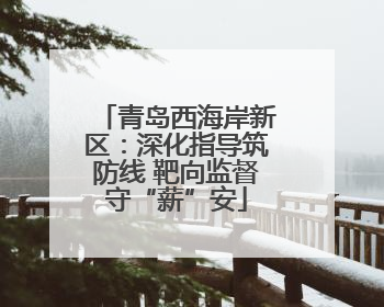 青岛西海岸新区：深化指导筑防线 靶向监督守“薪”安