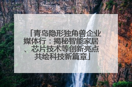 青岛隐形独角兽企业媒体行：揭秘智能家居、芯片技术等创新亮点 共绘科技新篇章