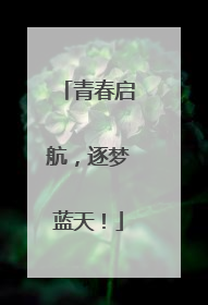 青春启航，逐梦蓝天！