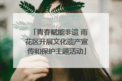 青春赋能非遗 雨花区开展文化遗产宣传和保护主题活动