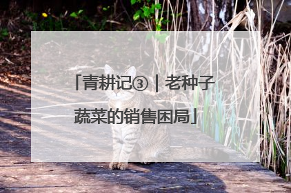青耕记③｜老种子蔬菜的销售困局