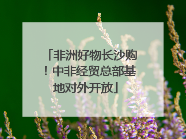 非洲好物长沙购！中非经贸总部基地对外开放