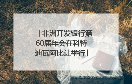 非洲开发银行第60届年会在科特迪瓦阿比让举行