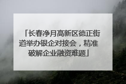 长春净月高新区德正街道举办银企对接会，精准破解企业融资难题
