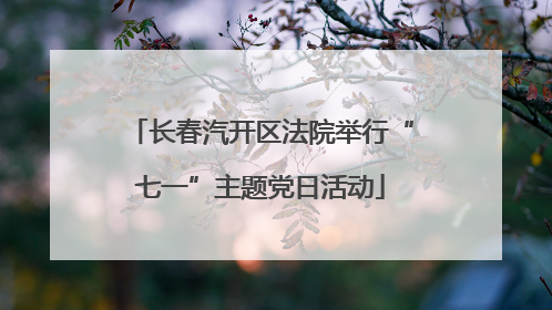 长春汽开区法院举行“七一”主题党日活动
