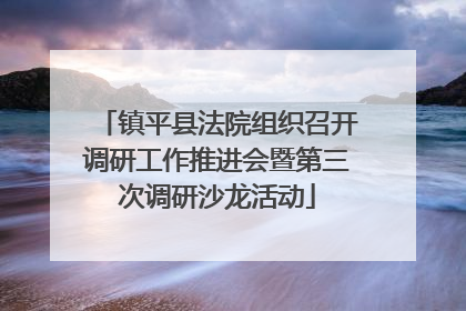 镇平县法院组织召开调研工作推进会暨第三次调研沙龙活动