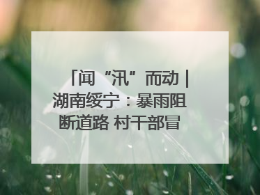 闻“汛”而动｜湖南绥宁：暴雨阻断道路 村干部冒雨抢险保畅通