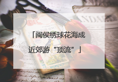 闽侯绣球花海成近郊游“顶流”