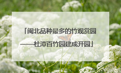 闽北品种最多的竹观赏园——杜潭百竹园建成开园