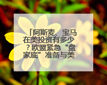 阿斯麦、宝马在美投资有多少？欧盟紧急“盘家底”准备与美谈判