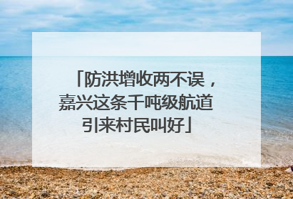 防洪增收两不误，嘉兴这条千吨级航道引来村民叫好