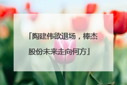 陶建伟欲退场，棒杰股份未来走向何方