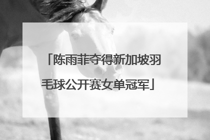 陈雨菲夺得新加坡羽毛球公开赛女单冠军