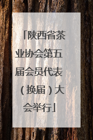 陕西省茶业协会第五届会员代表（换届）大会举行