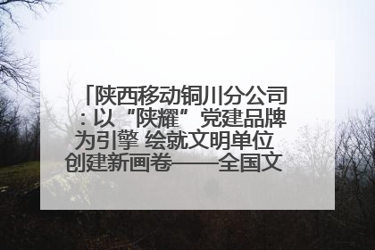 陕西移动铜川分公司：以“陕耀”党建品牌为引擎 绘就文明单位创建新画卷——全国文明单位创建纪实