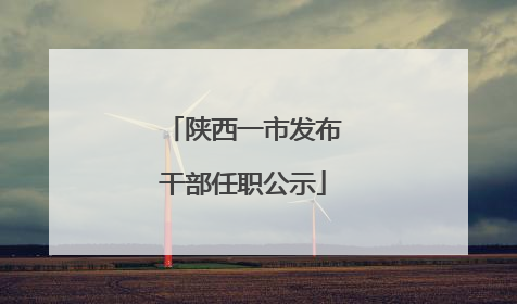 陕西一市发布干部任职公示
