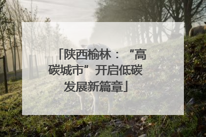 陕西榆林：“高碳城市”开启低碳发展新篇章