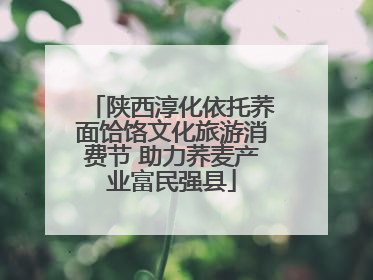 陕西淳化依托荞面饸饹文化旅游消费节 助力荞麦产业富民强县