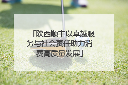 陕西顺丰以卓越服务与社会责任助力消费高质量发展