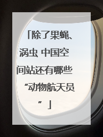 除了果蝇、涡虫 中国空间站还有哪些“动物航天员”