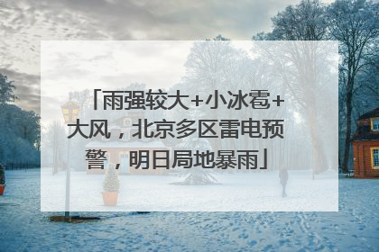 雨强较大+小冰雹+大风，北京多区雷电预警，明日局地暴雨